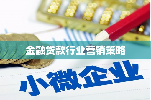 隆化金融贷款行业营销策略